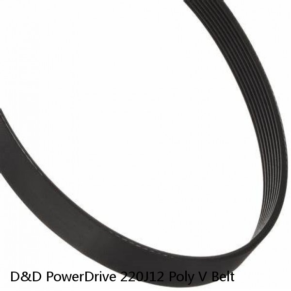 D&D PowerDrive 220J12 Poly V Belt #1 image