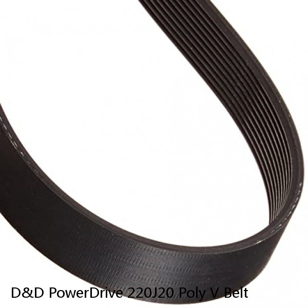 D&D PowerDrive 220J20 Poly V Belt #1 image