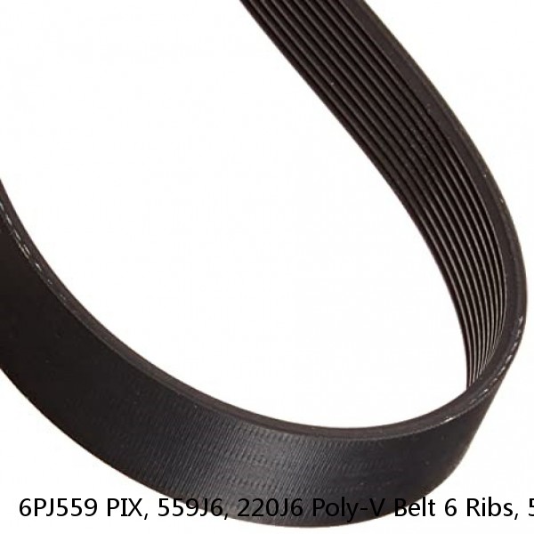 6PJ559 PIX, 559J6, 220J6 Poly-V Belt 6 Ribs, 559mm, 22" Long #1 image