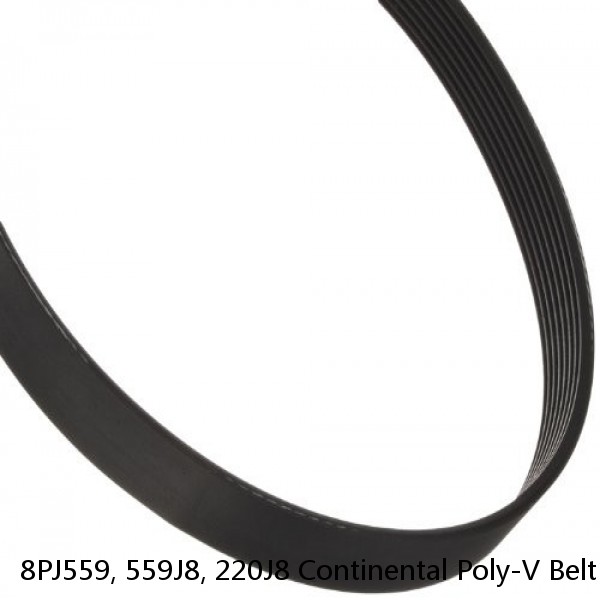 8PJ559, 559J8, 220J8 Continental Poly-V Belt 8 Ribs, 559mm, 22" Long #1 image