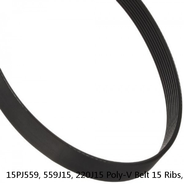 15PJ559, 559J15, 220J15 Poly-V Belt 15 Ribs, 559mm, 22" Long #1 image