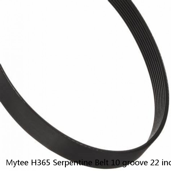 Mytee H365 Serpentine Belt 10 groove 22 inches PolyV Belts 220-J-10 Jianli 220J  #1 image